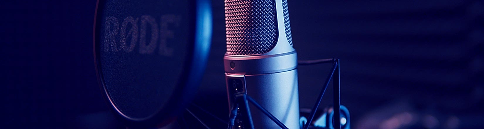 Voice Casting