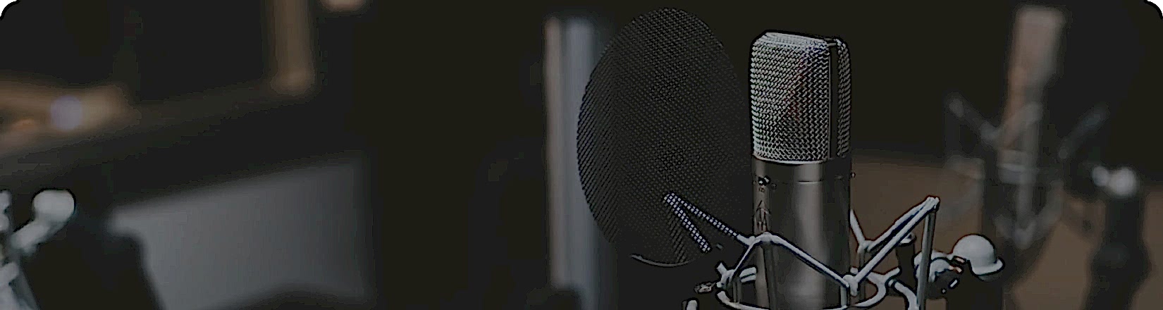 Voice Casting