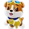KÖPEK