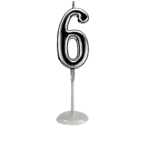 KÜÇÜK BOY 6 RAKAM GÜMÜŞ MUM 8CM PK:100 KL:1000
